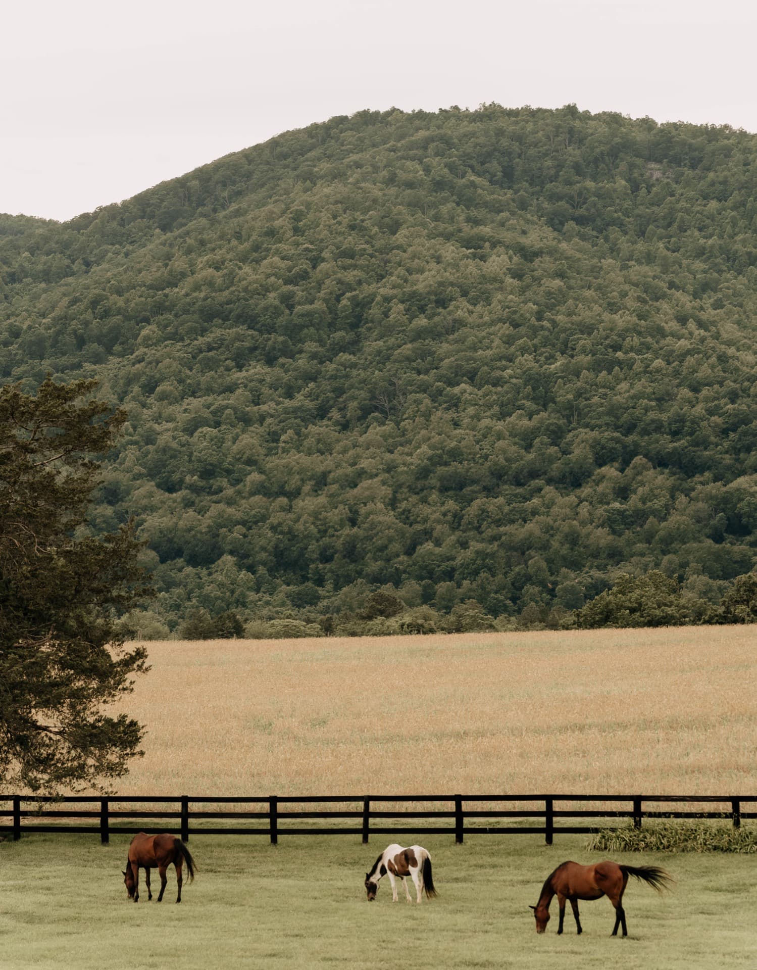 Keswick, Virginia — country landscape representing the region