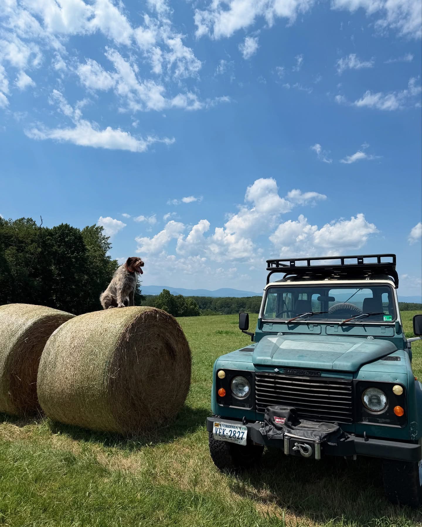 Rolling Virginia farmland under conservation easement